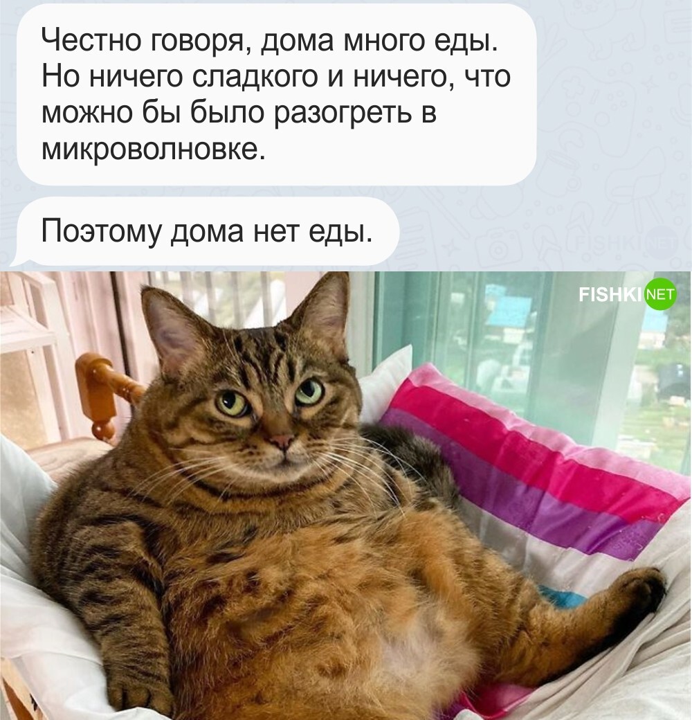 Не поспоришь