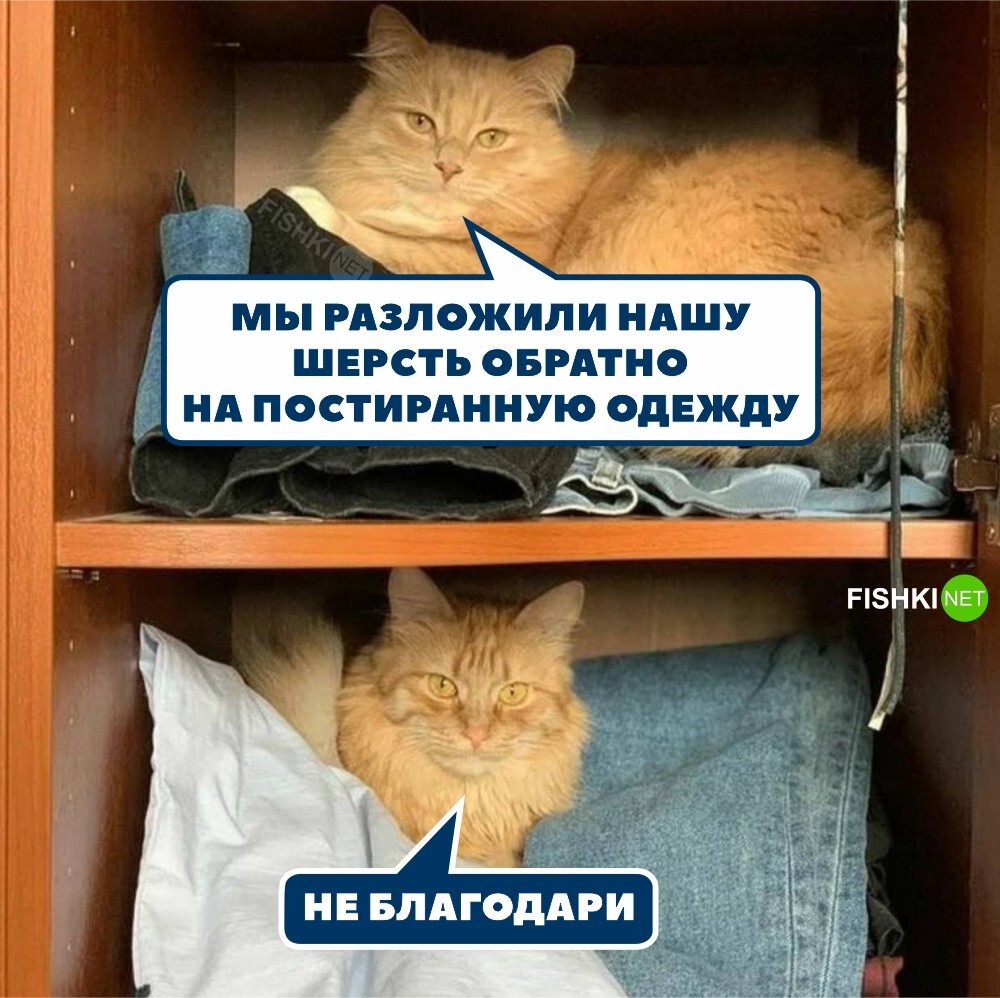 Не благодарите 