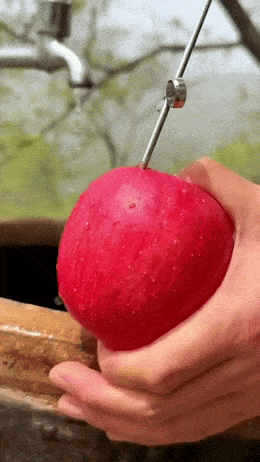 Яблочная нарезка