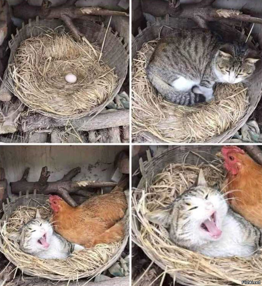 Жопу поднял - место потерял