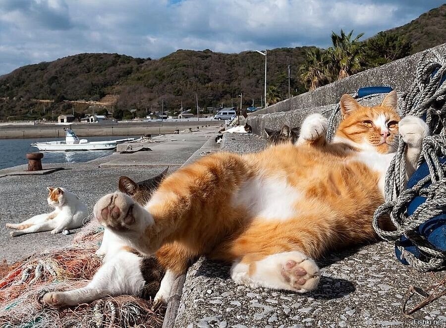 .... кажется я им завидую.... ;)