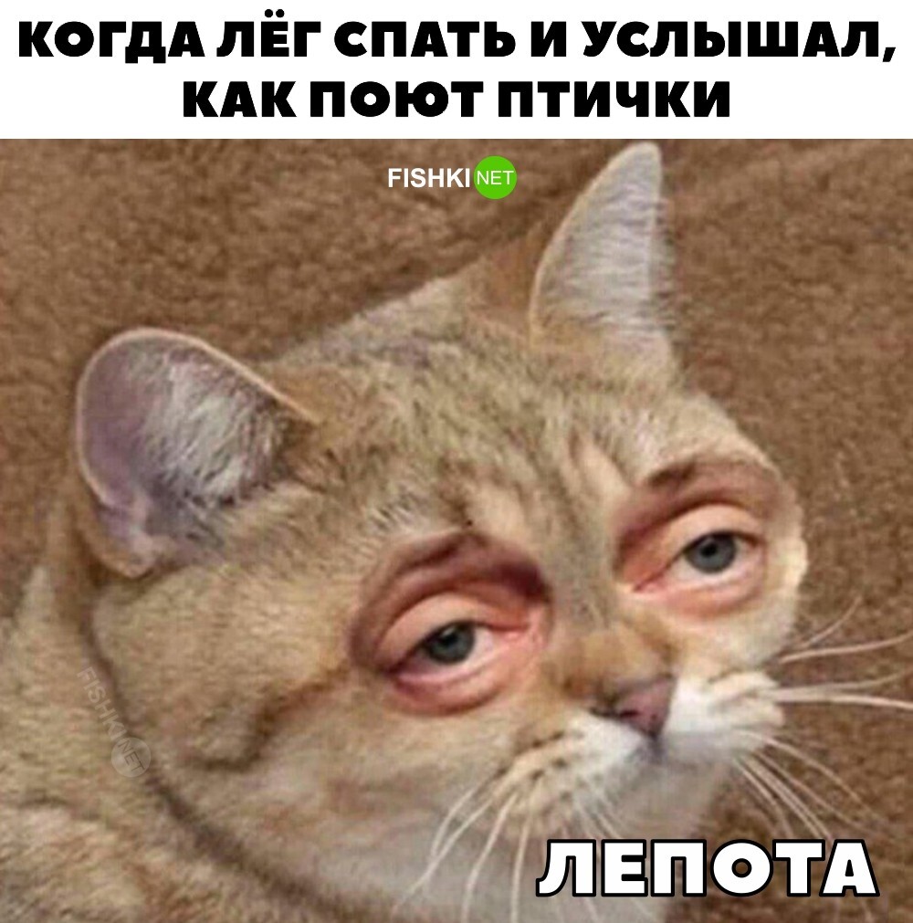Лепота 