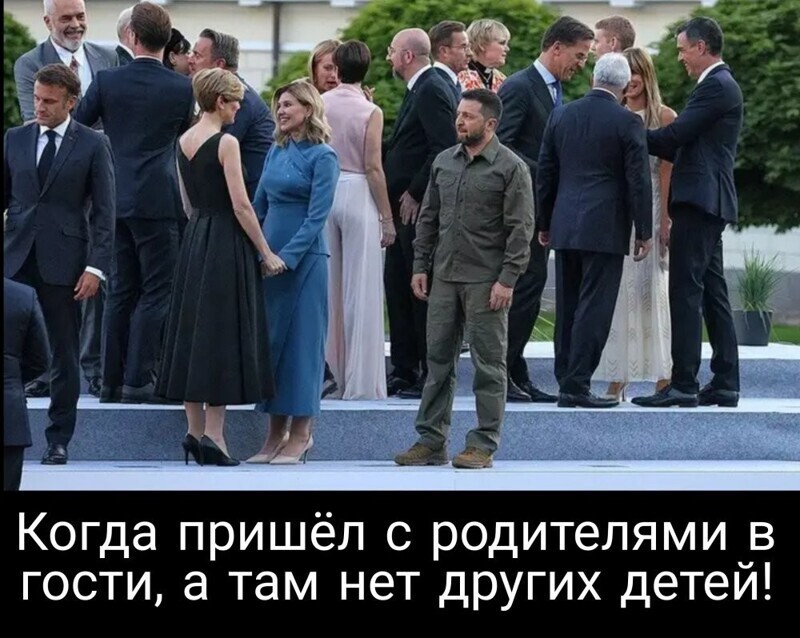 Одинокий голубь на саммите за окном