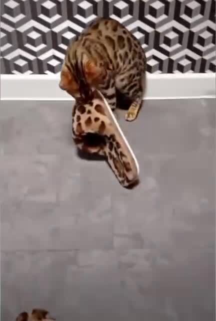 Ты кто такой