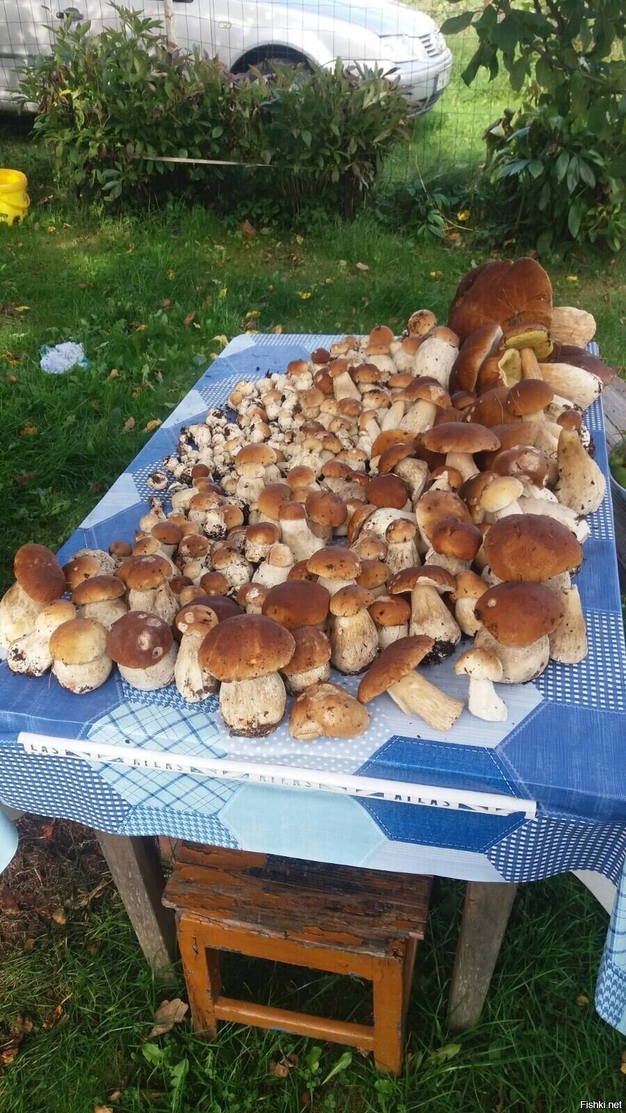 Урожай