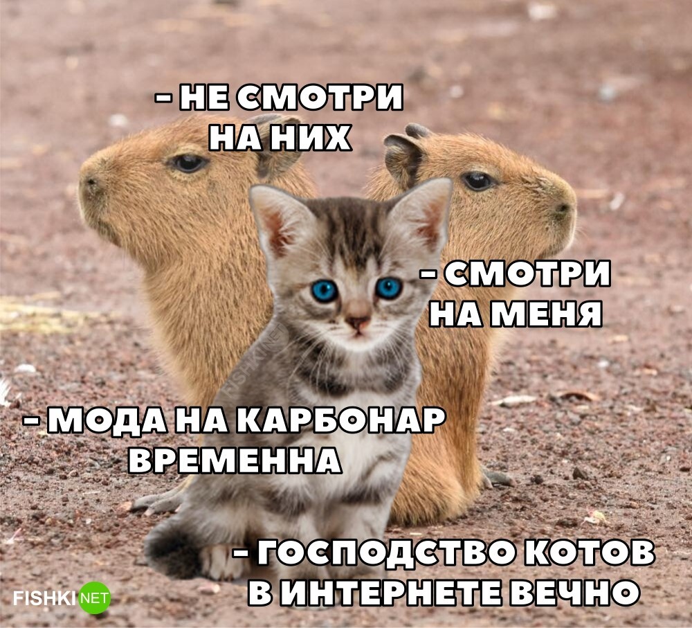 Ох уж эта мода
