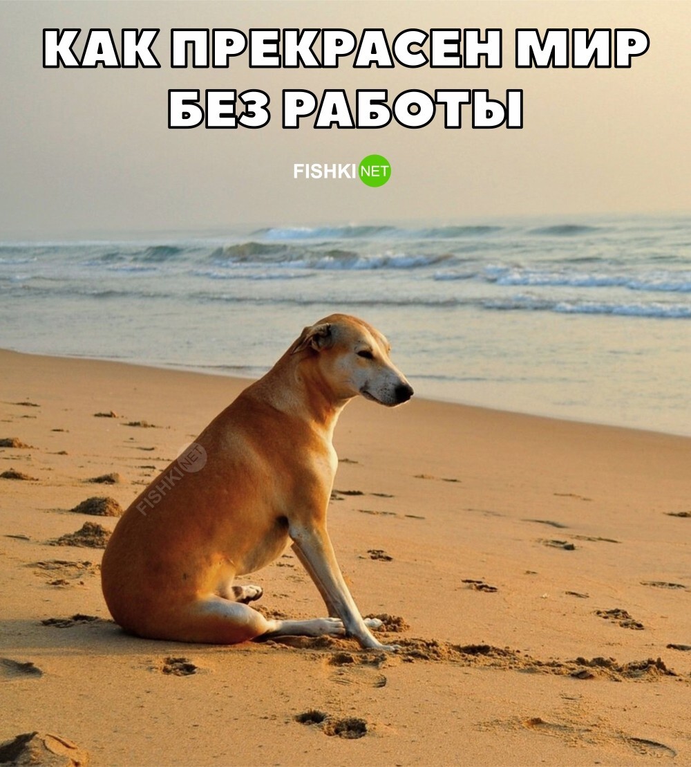Согласен...