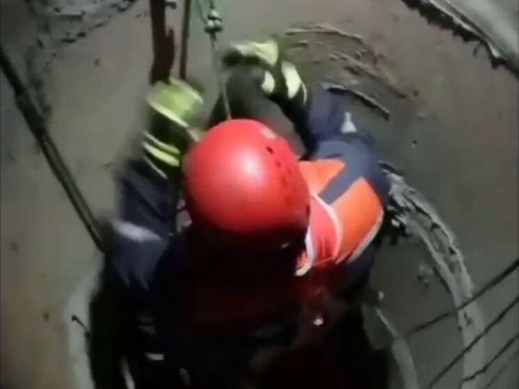 Спасатели вытащили кота из 8-метрового колодца