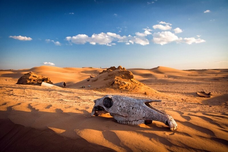 7 самых необычных пустынь России