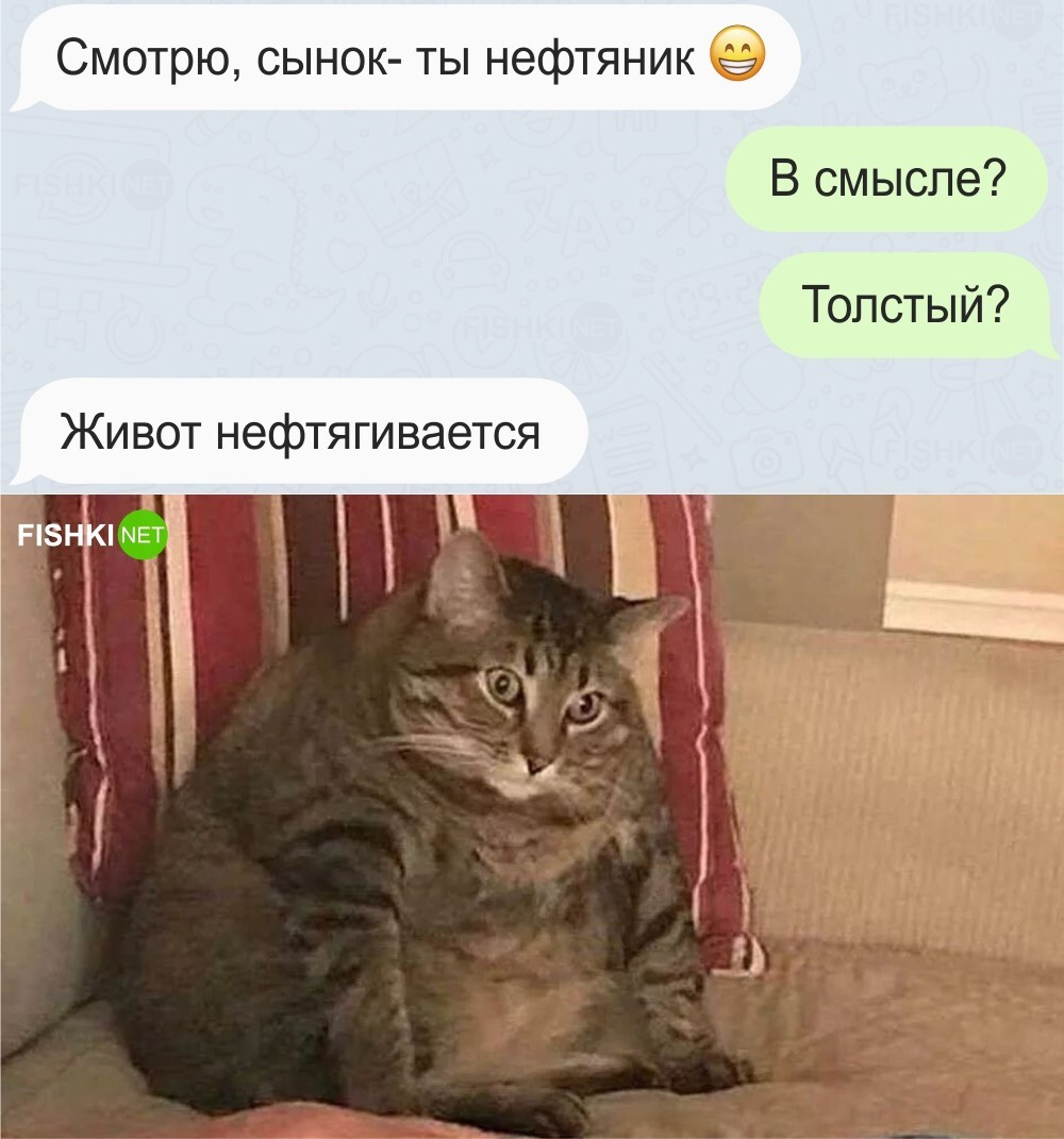 Жирный троллинг 