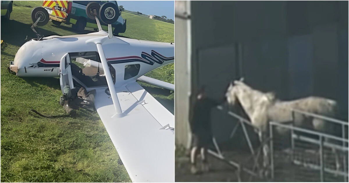 В Австралии пенсионер на легкомоторном самолете сбил лошадь