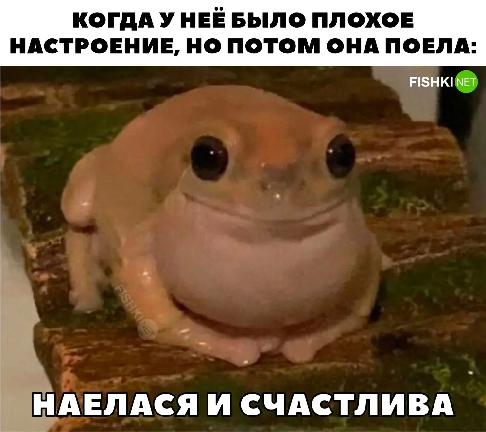 Скрины из соцсетей&nbsp;