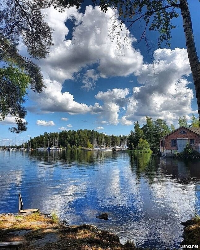 Солянка