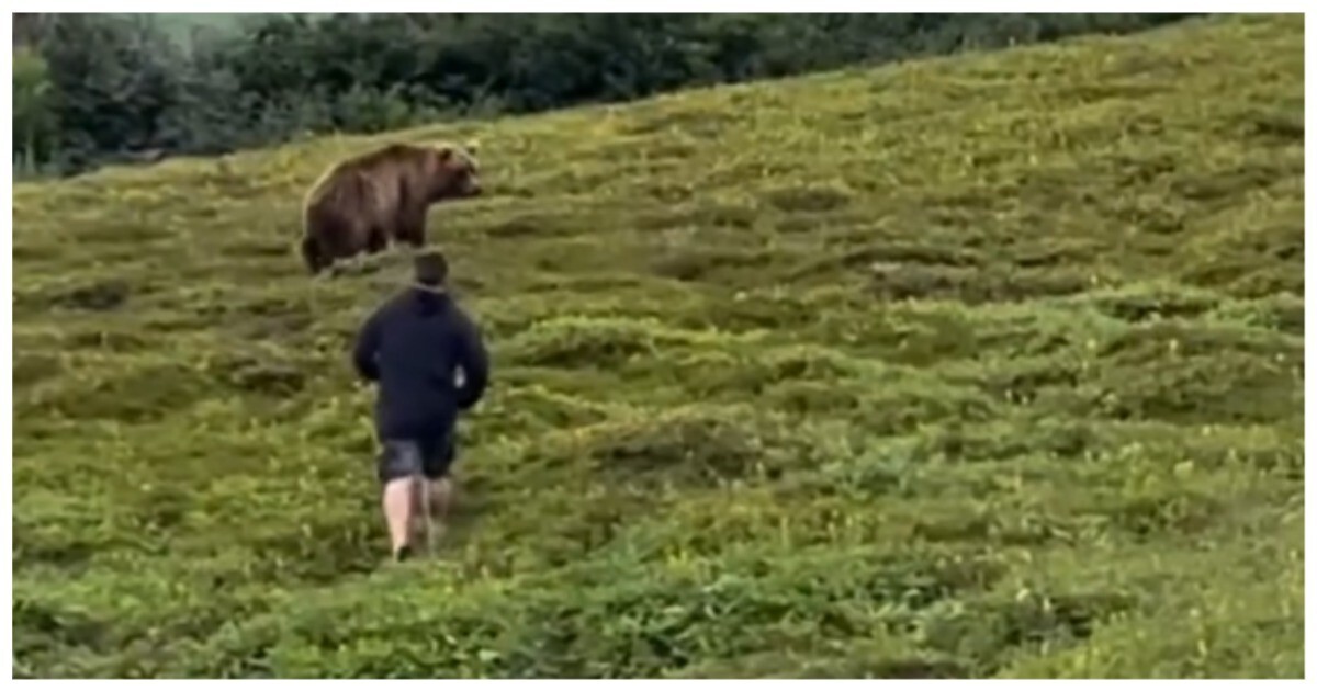 Парень прогнал медведя, заинтересовавшегося содержимым палатки