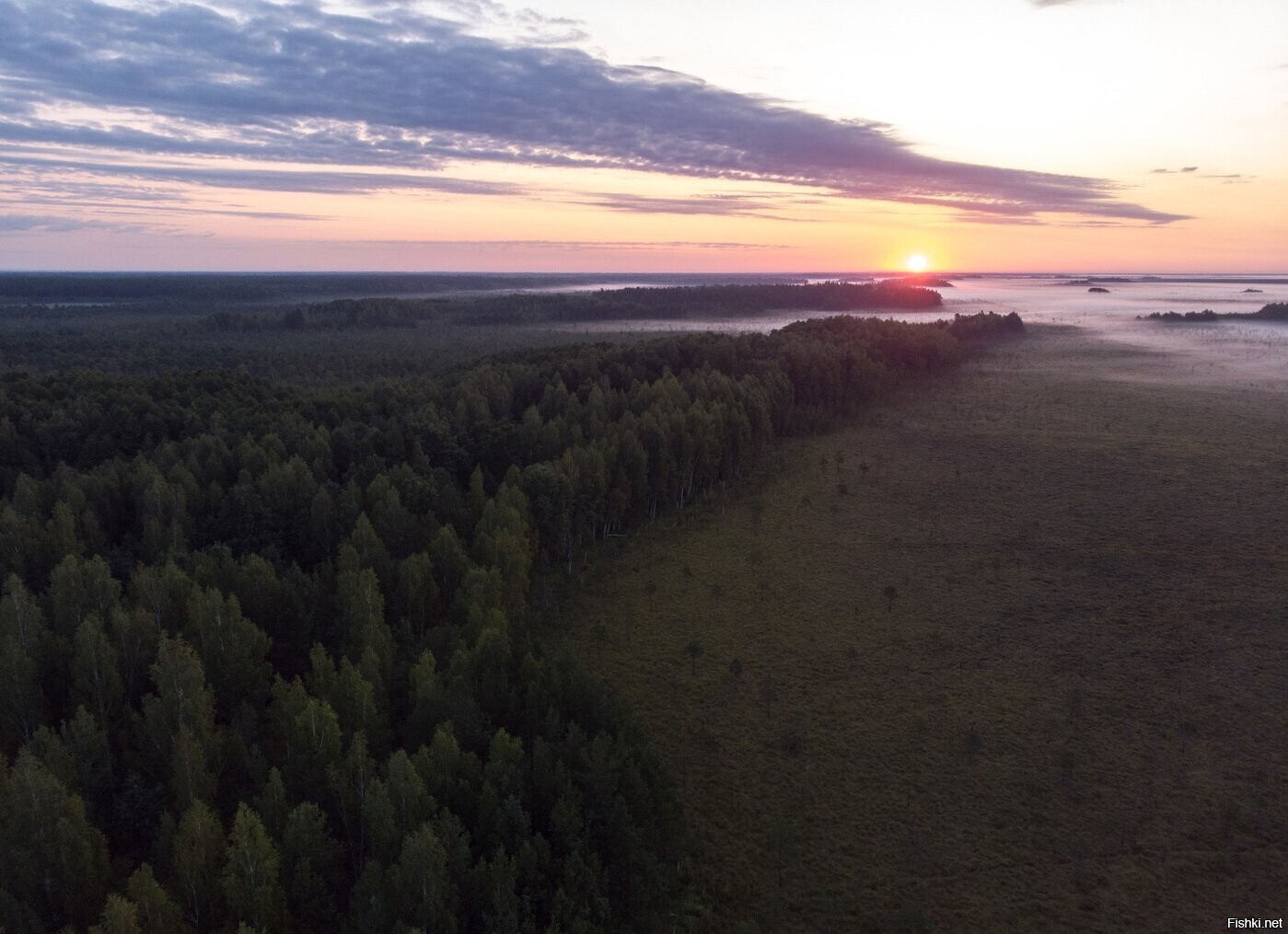 Национальный парк "Припятский", Гомельская область, Беларусь