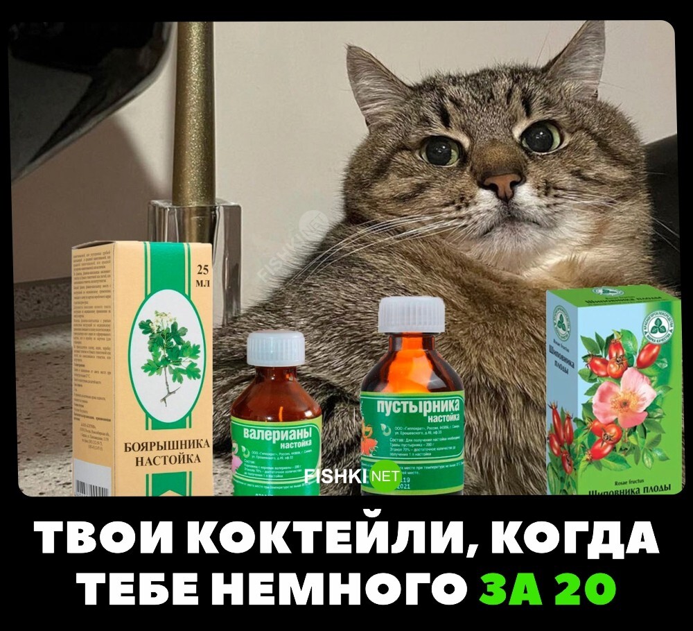 Скрины из соцсетей&nbsp;