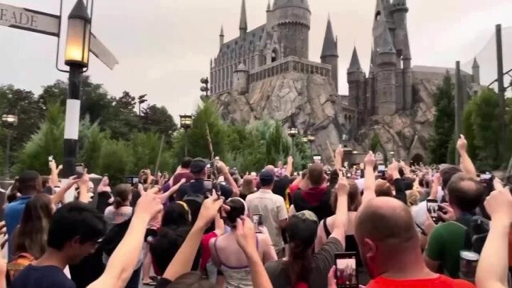Фанаты «Гарри Поттера» подняли палочки перед Хогвартсом и попрощались с Дамблдором