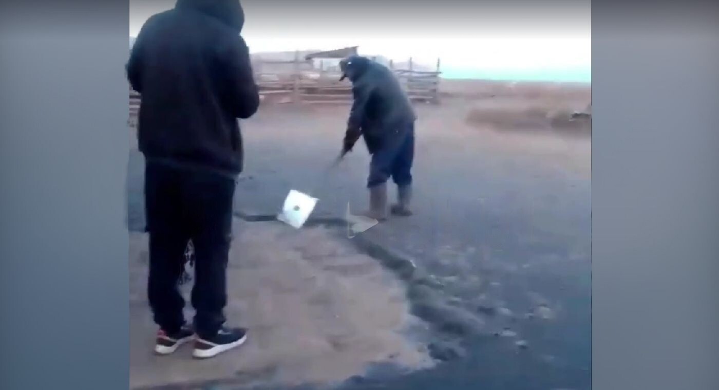 Жители Кызыла впервые столкнулись с нашествием мошек