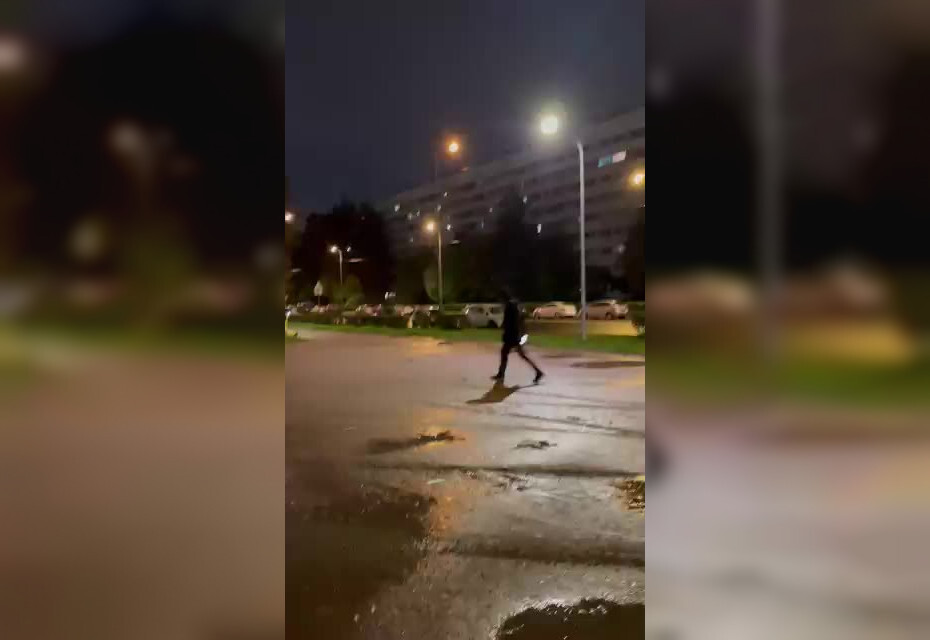 Водитель каршеринга пытался сбить в парковой зоне петербуржцев