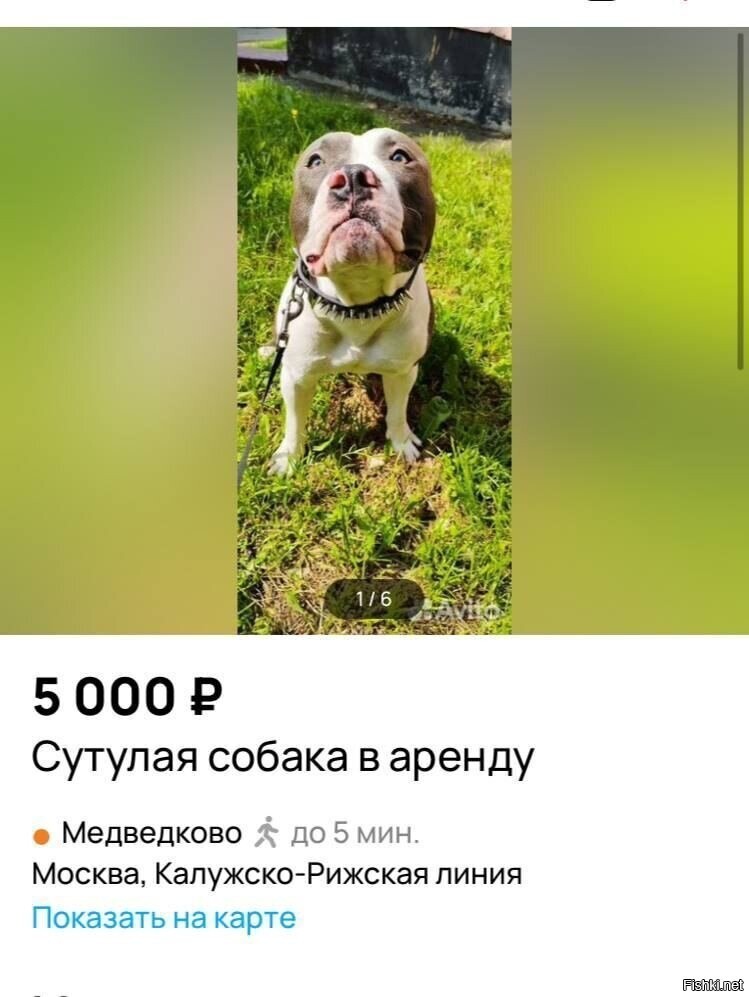 Ничего личного