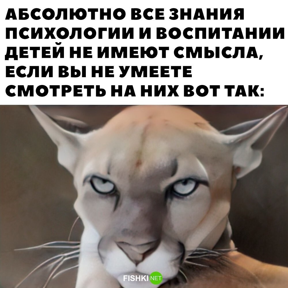 Скрины из соцсетей&nbsp;