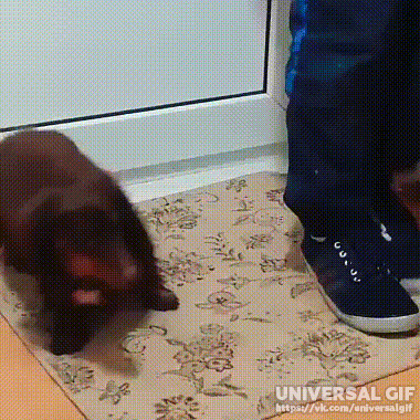 - Вытерайте ноги