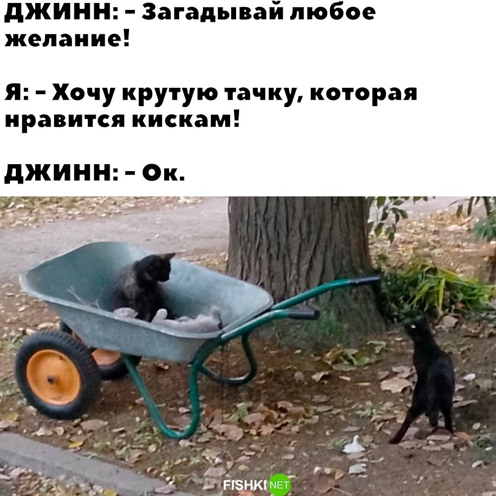 Скрины из соцсетей&nbsp;