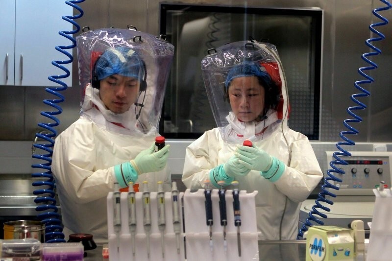 Китайские учёные обнаружили 8 новых опасных для человечества вирусов