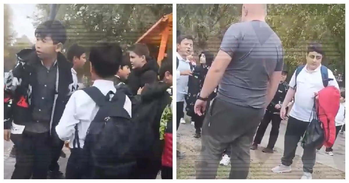«Вы чего толпой напали?»: в Ростове-на-Дону мужчина разогнал устроивших драку школьников и теперь его проверяет прокуратура