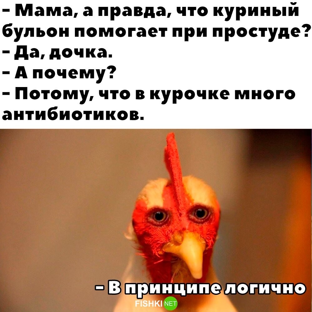 Куриный бульон 