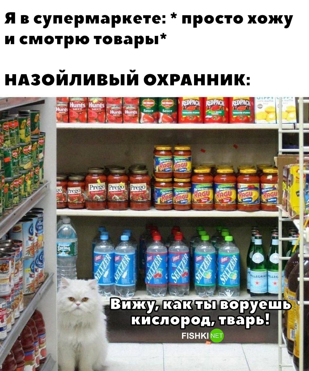 Назойливый охранник в магазине