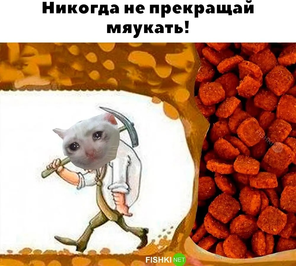 Скрины из соцсетей&nbsp;