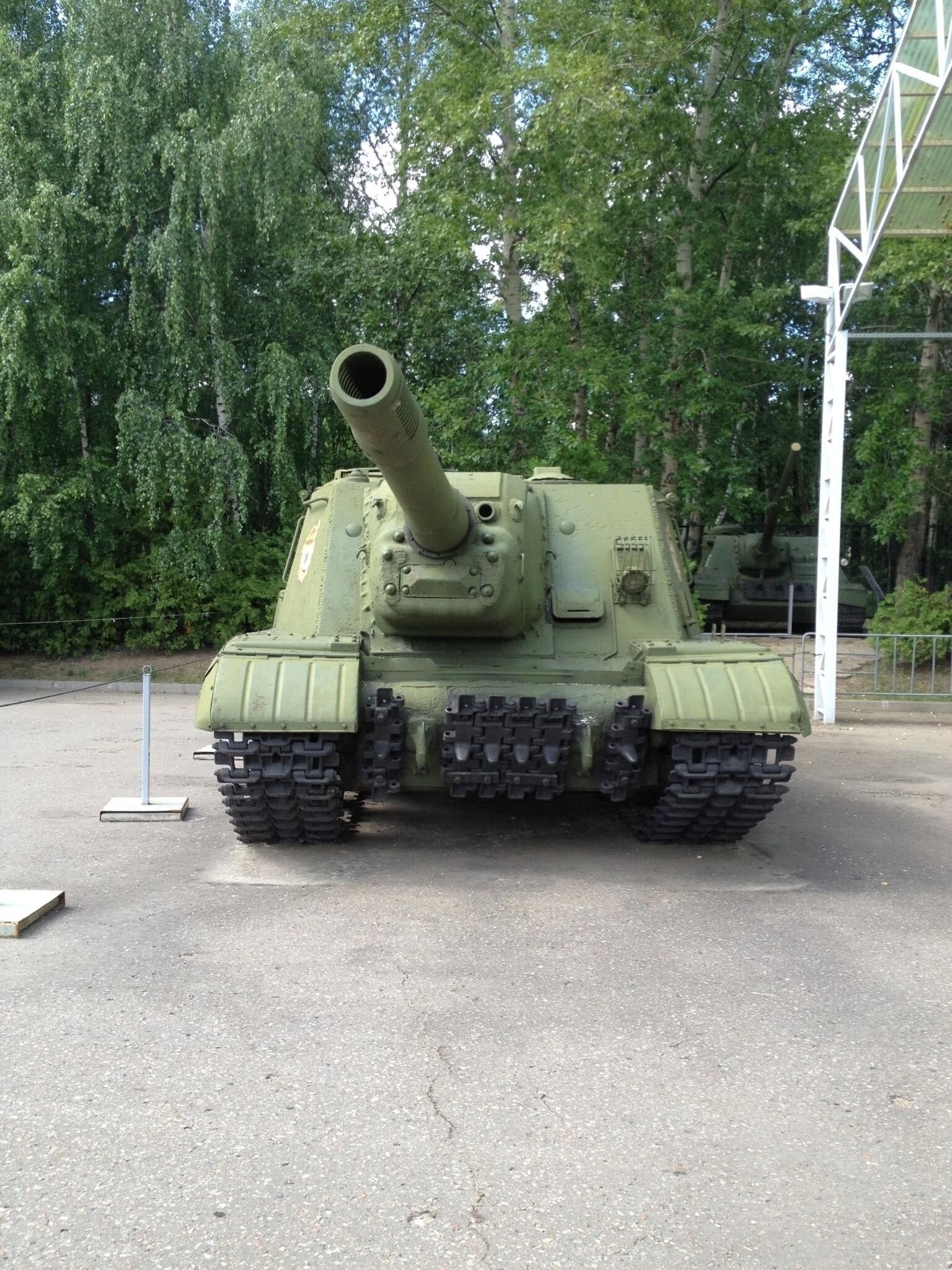 Зверобой