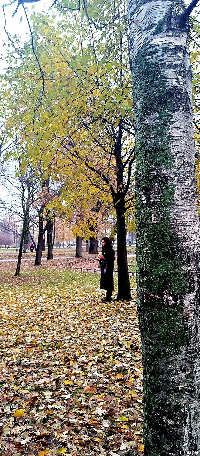 Доброе утро, Друзья