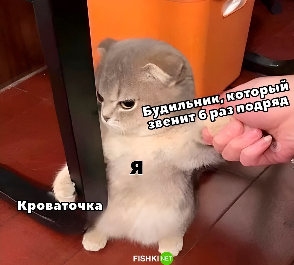 Каждое утро