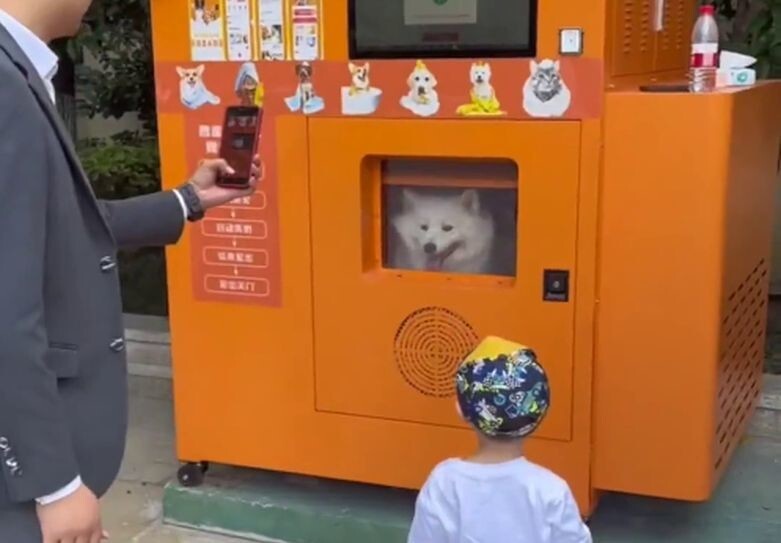 В Китае появились автоматы-душевые для питомцев