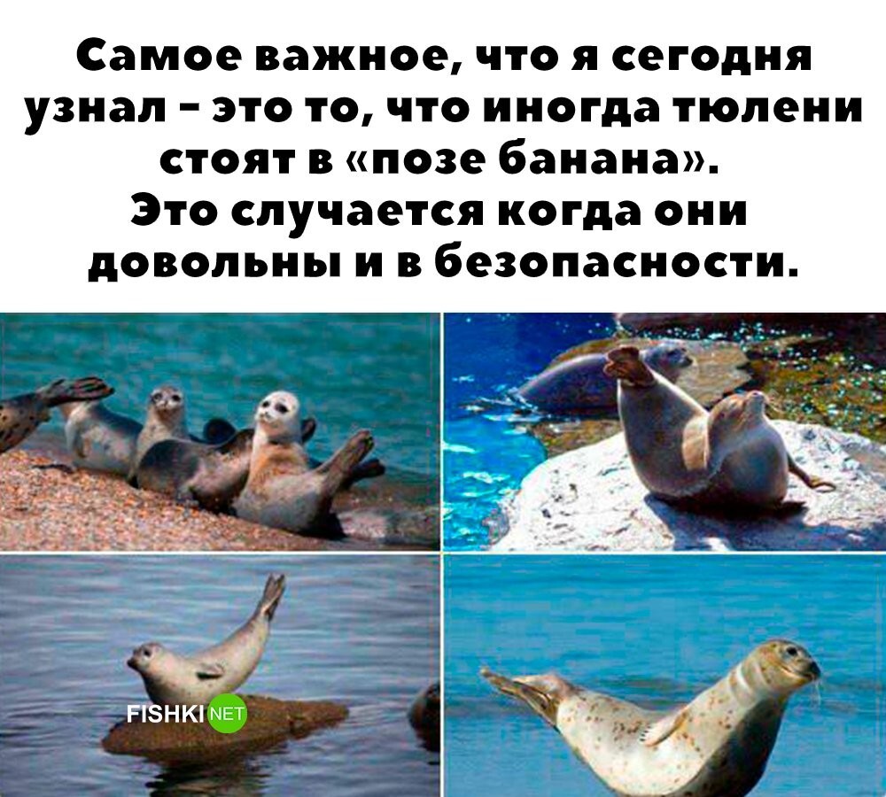 Поза банана