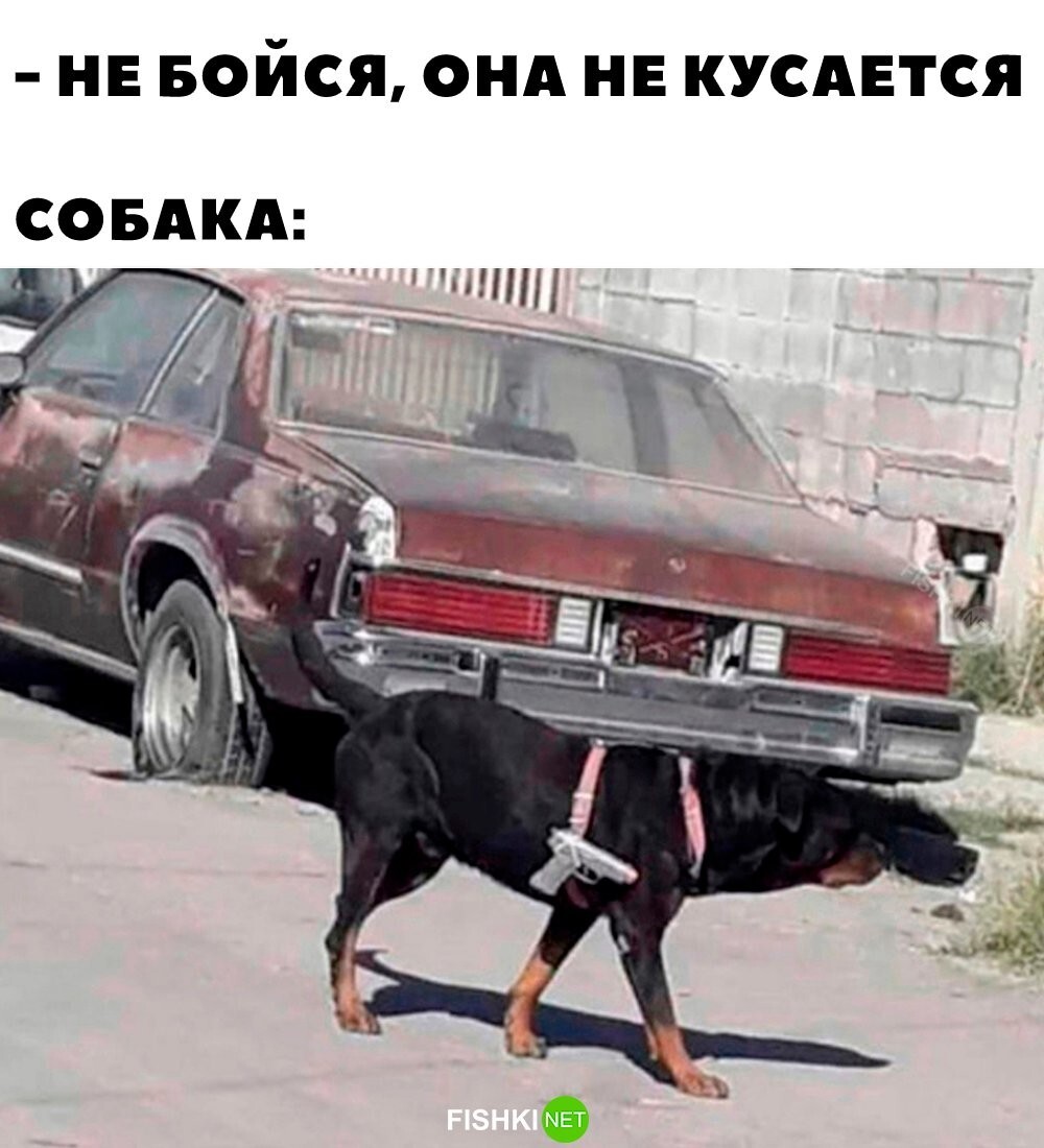 Она стреляет 