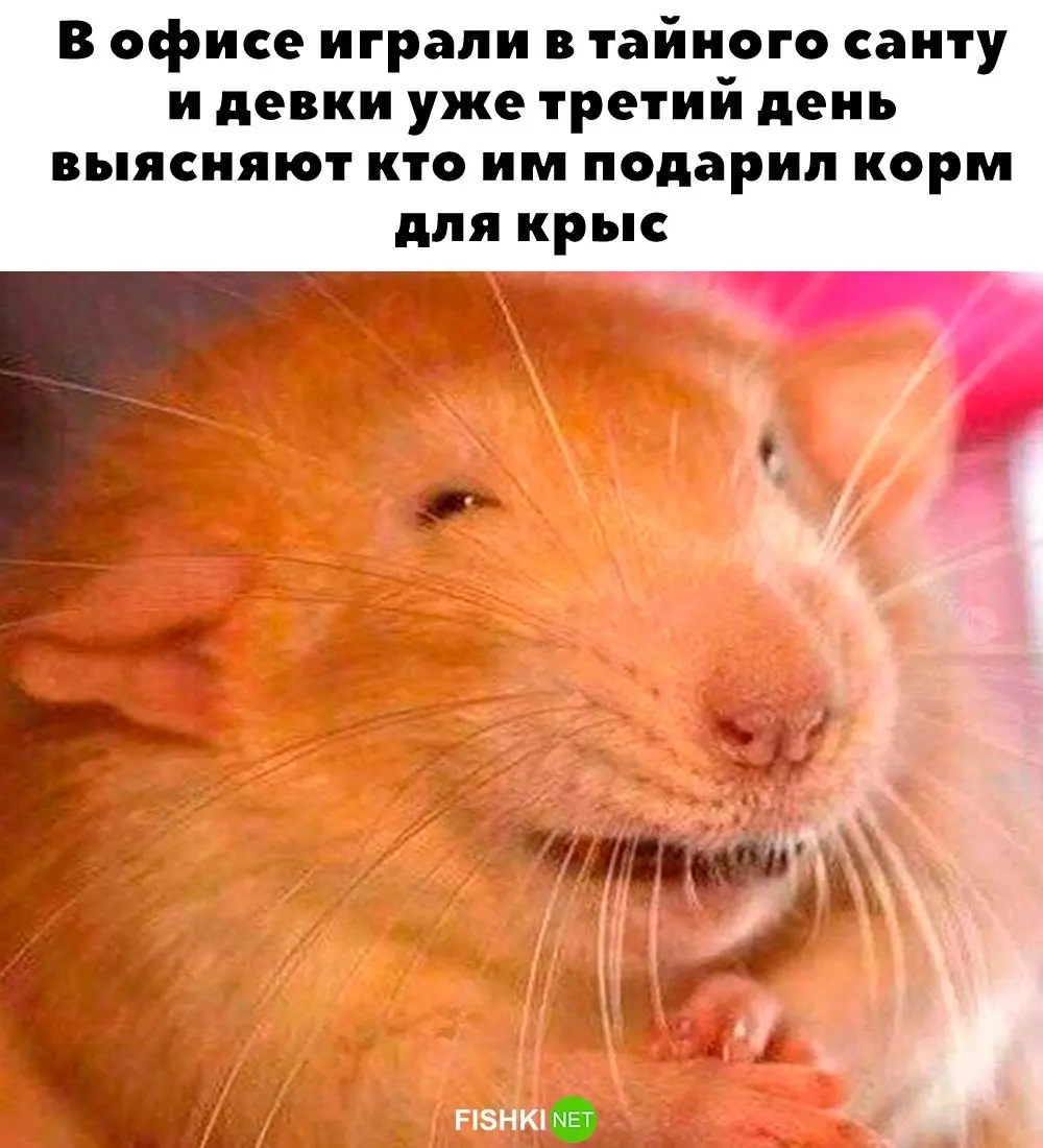 Скрины из соцсетей&nbsp;