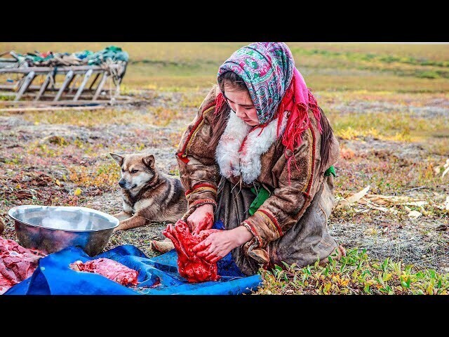 10 фактов о Крайнем Севере, которые вас удивят | Факты⁠⁠