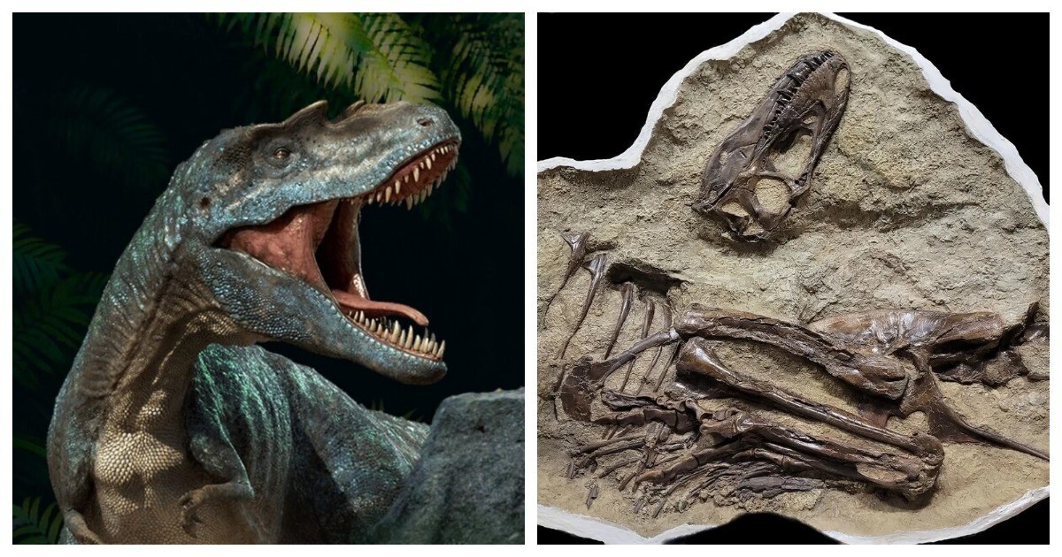 Последняя трапеза динозавра возрастом 75 млн лет