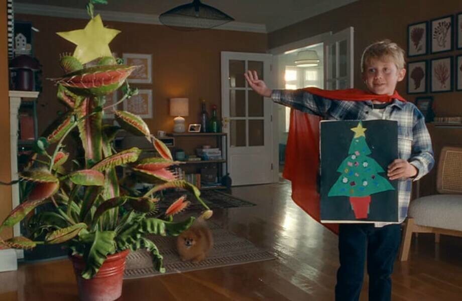 Забавный ролик про мальчика, которому досталось необычное новогоднее дерево