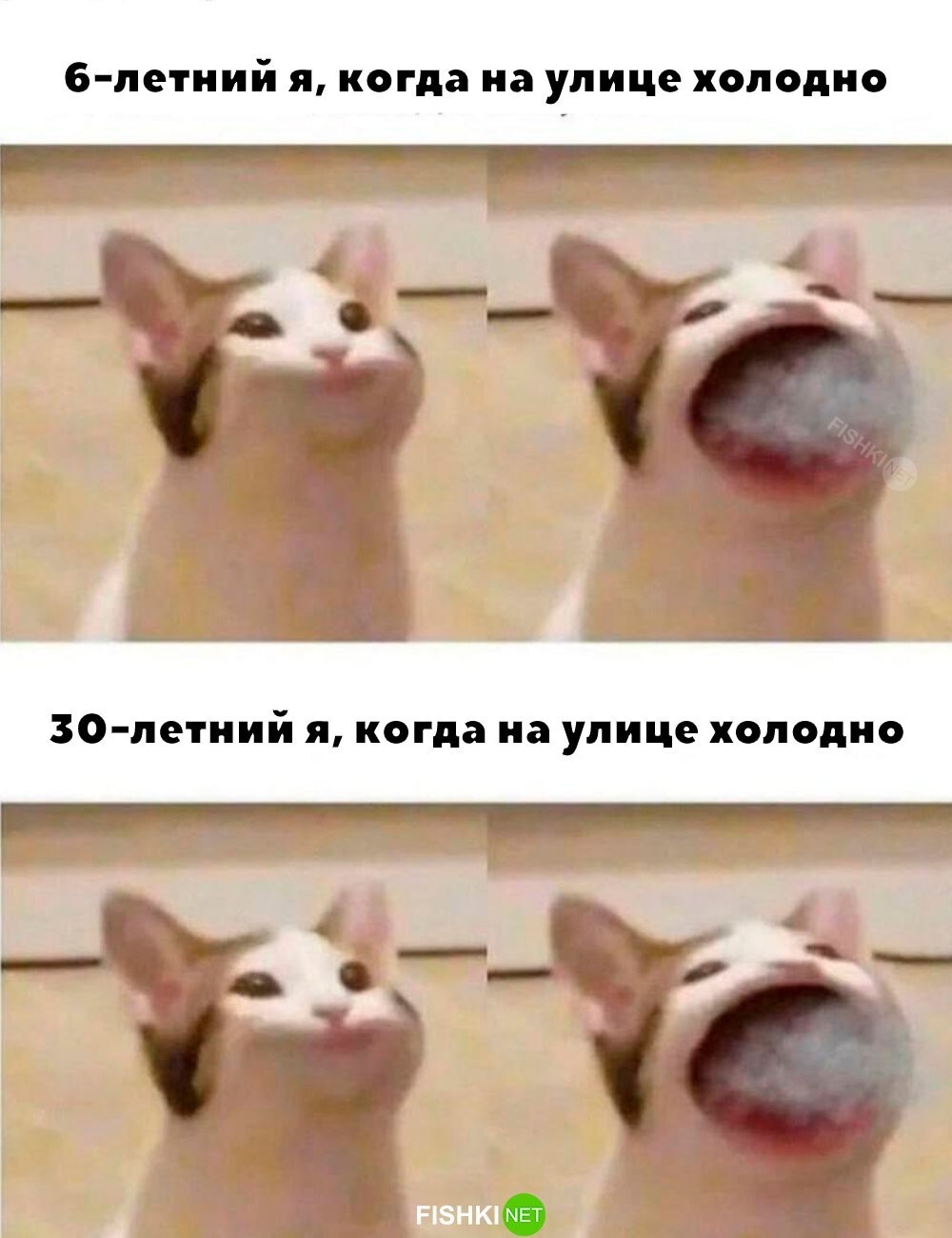 Ничего не меняется