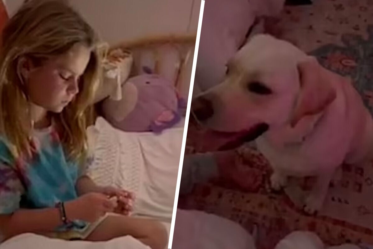 Домашний пёс спас спящего ребёнка от диабетической комы