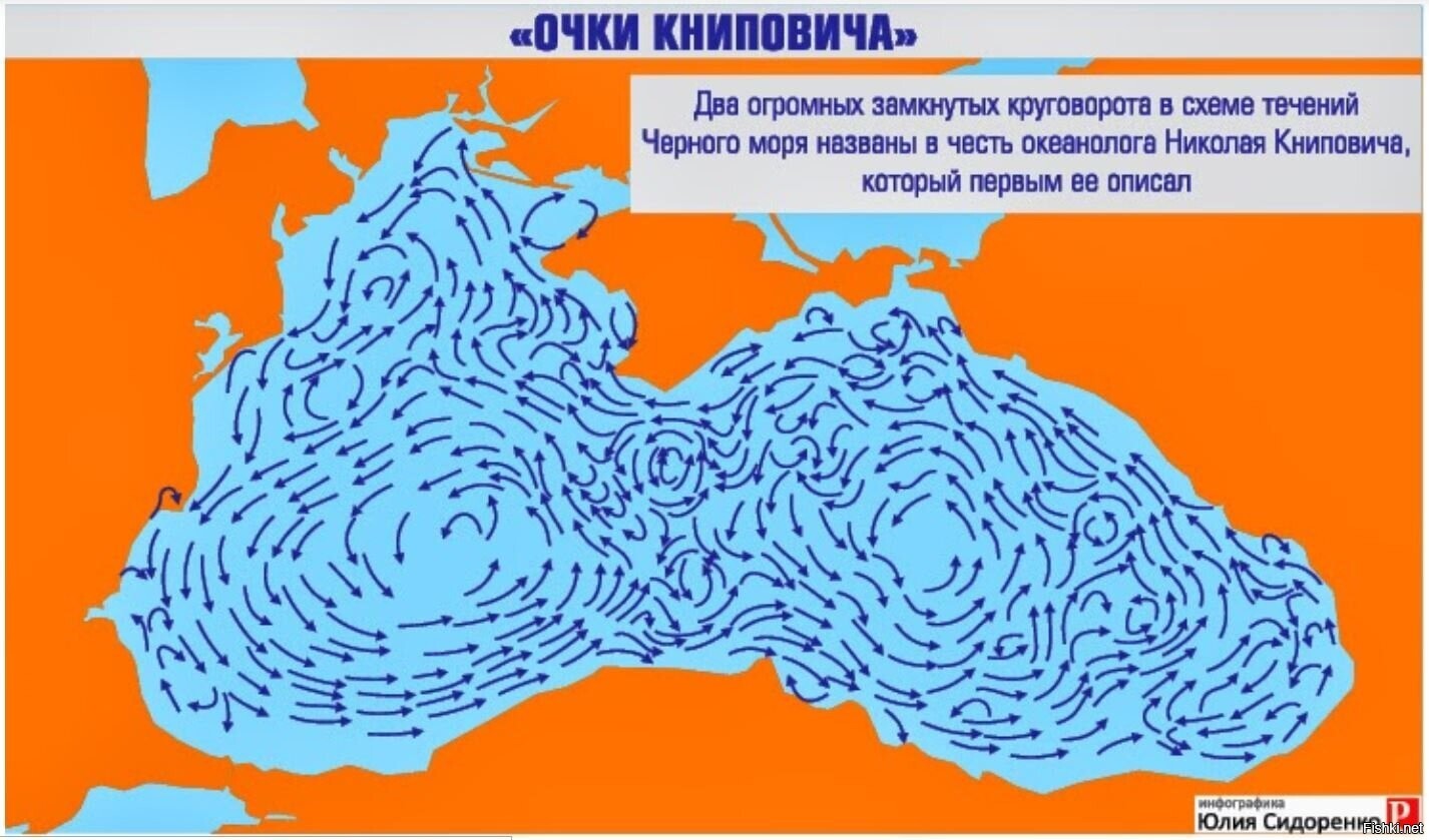 Основное Черноморское течение направлено против часовой стрелки по всему пери...