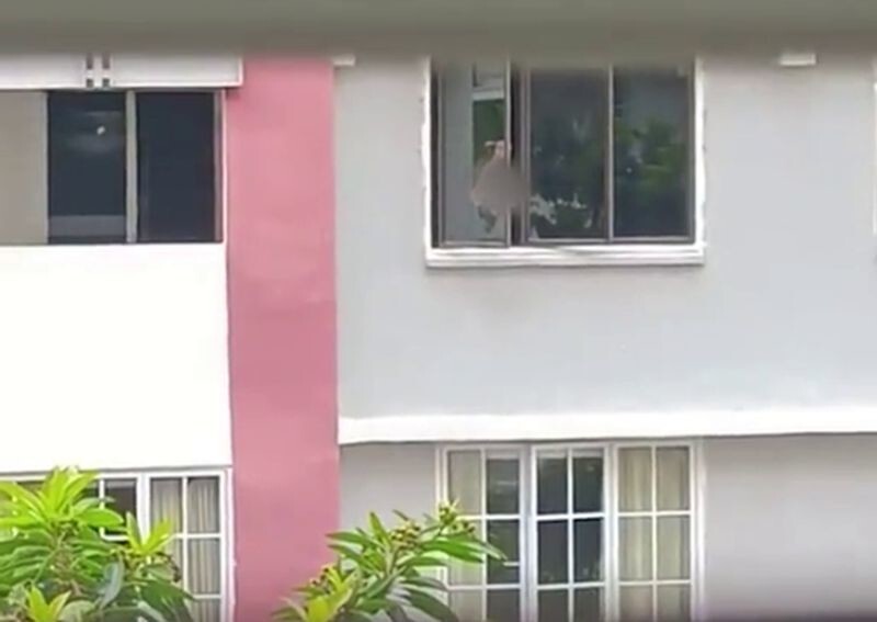 Женщина из Сингапура кричит по 10 раз в день в окно уже три месяца
