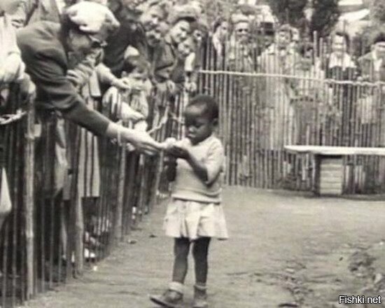 Негритянская девочка в вольере человеческого зоопарка