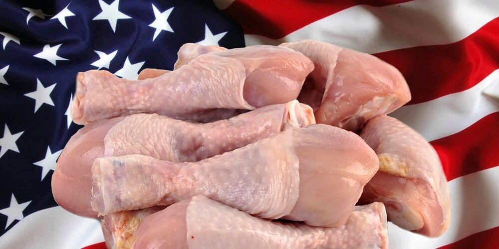 «Окорочка Байдена». Птицеводы Казахстана просят запретить ввоз в страну инфицированной курицы из США