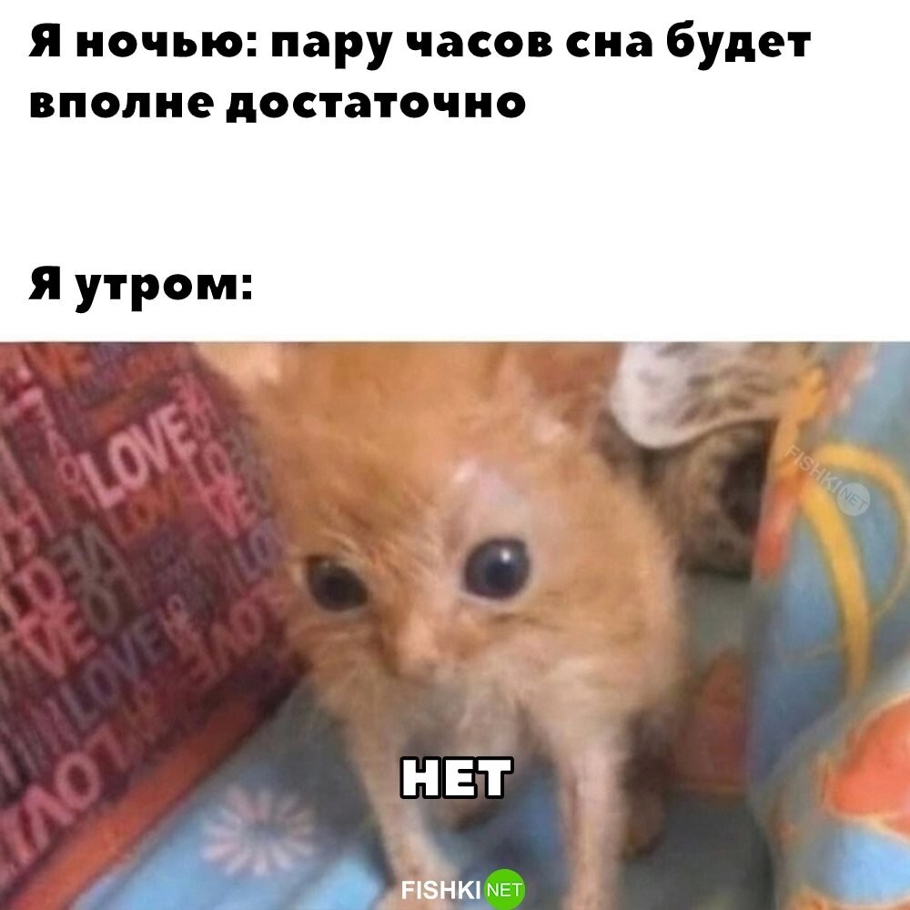 И так каждый день