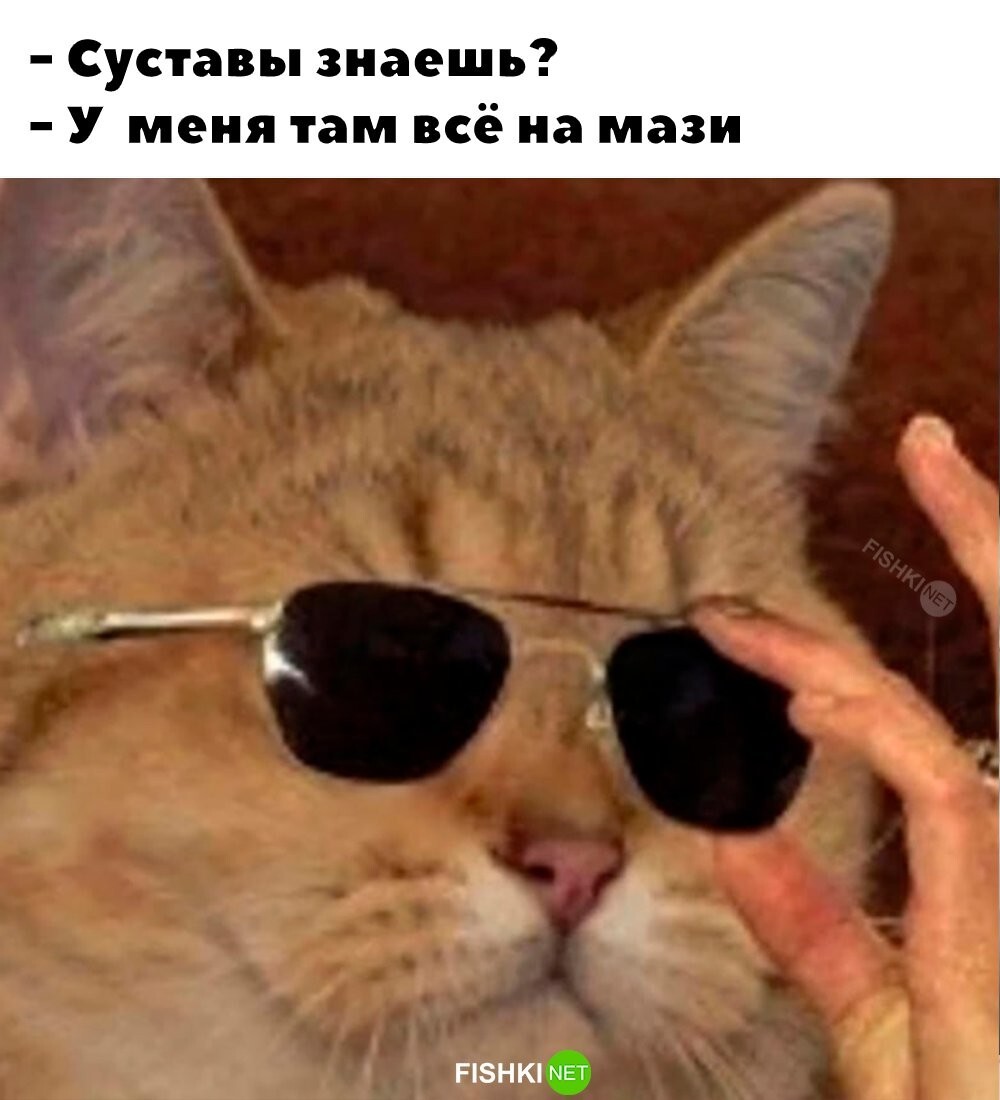 Всё на мази